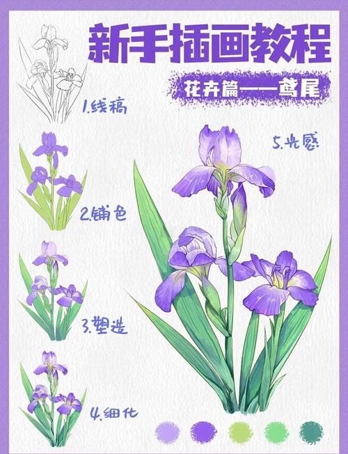 鸢尾花怎么折:从花型结构到分株修剪的完整园艺指南 越冬与越夏管理