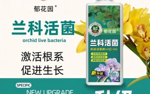 兰花黄叶要用什么肥？先排查病因再施肥，才能根除黄叶问题
