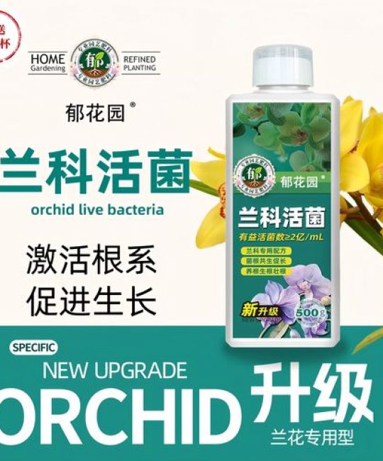 兰花黄叶要用什么肥？先排查病因再施肥，才能根除黄叶问题