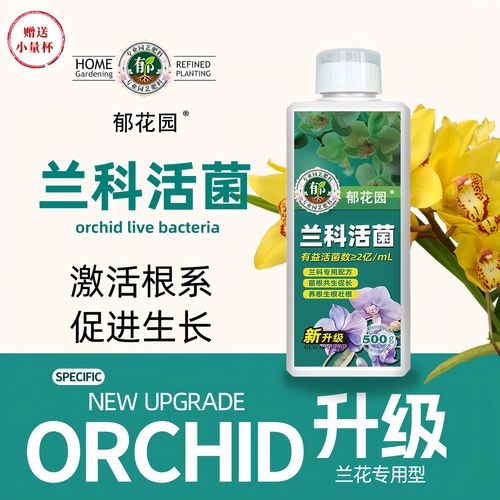 兰花黄叶要用什么肥?先排查病因再施肥,才能根除黄叶问题 兰花黄叶要用什么肥?先排查病因再施肥,才能根除黄叶问题