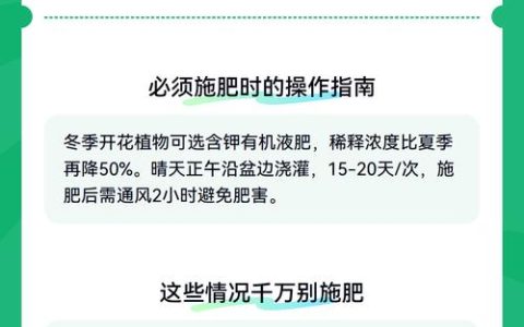 冬季能给花施肥吗？家庭园艺冬季养护全攻略