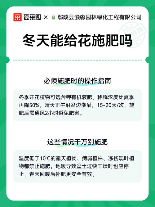 冬季能给花施肥吗？家庭园艺冬季养护全攻略