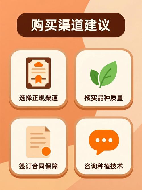 明日见柑橘苗多少钱一棵?2026年价格详解与采购指南 明日见柑橘苗价格快速参考表(2026年市场数据)