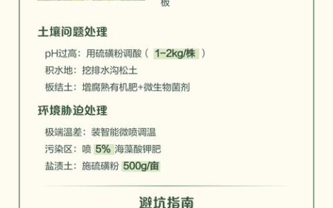 杨梅树叶子发黄干枯？一套完整诊断与防治方案