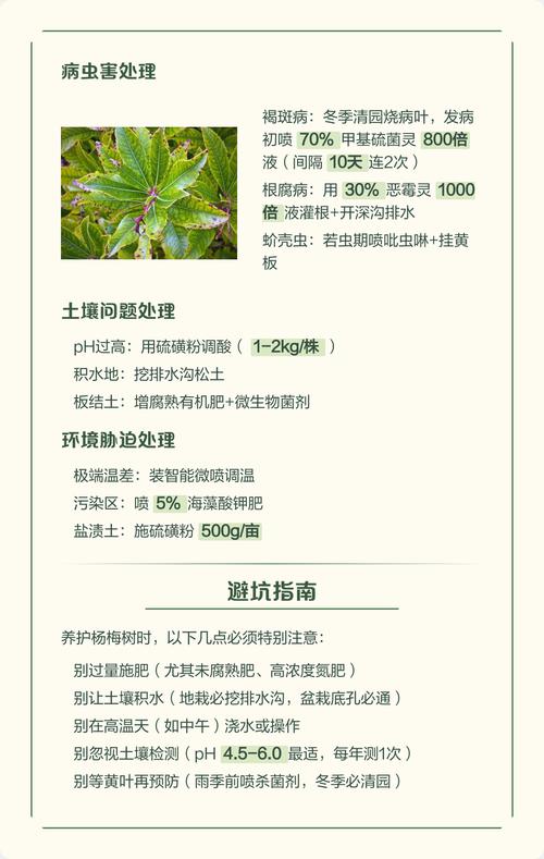 杨梅树叶子发黄干枯?一套完整诊断与防治方案 杨梅树叶子发黄干枯?一套完整诊断与防治方案