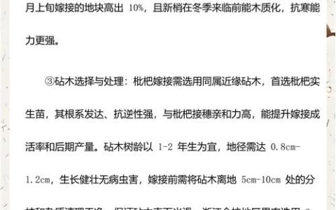 枇杷什么时候嫁接最好？最佳时间与高效嫁接技术全解析