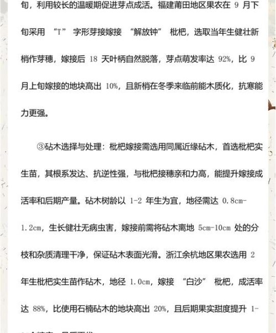 枇杷什么时候嫁接最好？最佳时间与高效嫁接技术全解析