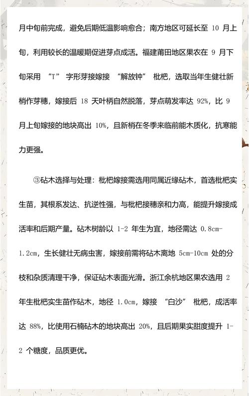 枇杷什么时候嫁接最好?最佳时间与高效嫁接技术全解析 枇杷什么时候嫁接最好?最佳时间与高效嫁接技术全解析