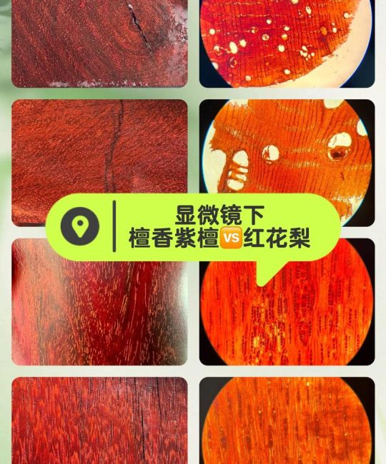 红檀木与花梨木，哪个更贵？——园艺爱好者的深度对比