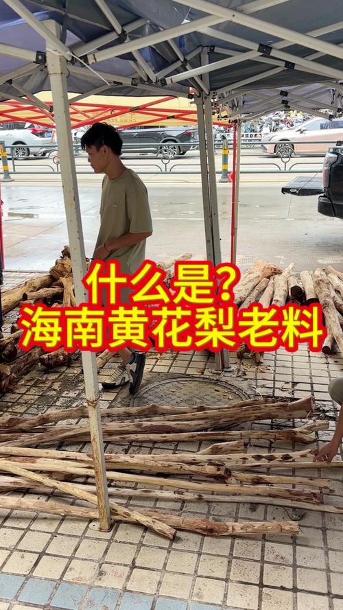 黄花梨老料详解:从植物学特征到木材价值的全面百科 黄花梨老料详解:从植物学特征到木材价值的全面百科