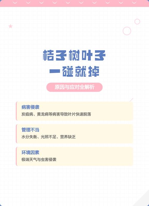 桔子树叶子发黄掉叶子?从原因到防治的完整指南 分步排查清单