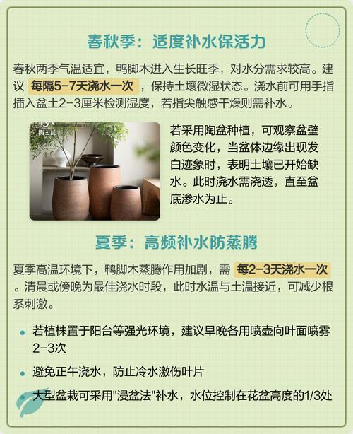 鸭掌木多少天浇一次水?四季浇水指南与常见误区解析 四、浇水过量的隐患与补救