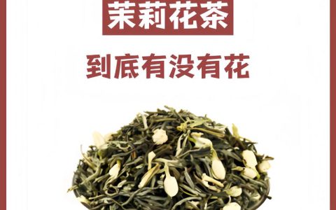 茉莉花是什么茶原料？植物百科详解