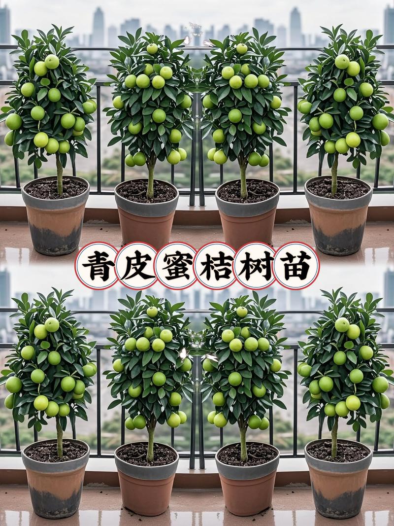 价格汇总表