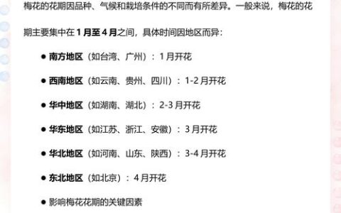梅花树什么时候开花？花期、品种与养护全攻略