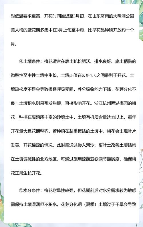 梅花的花期与品种详解