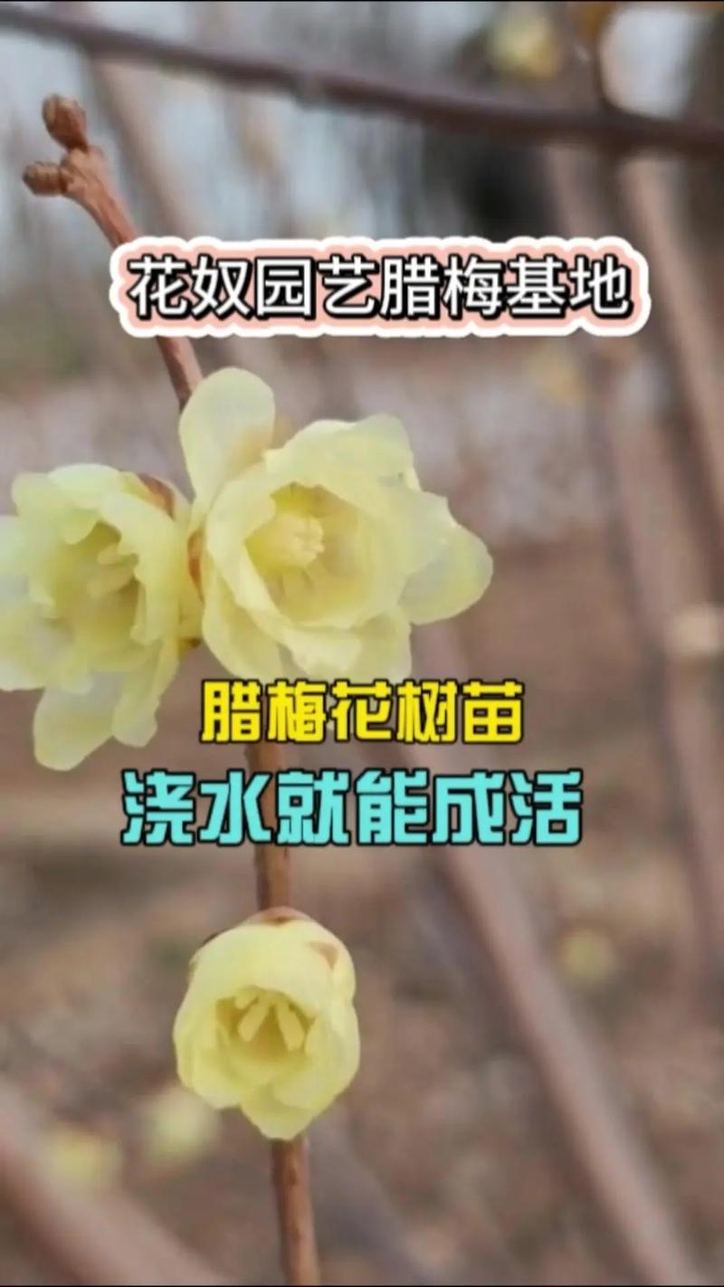 常见问题FAQ