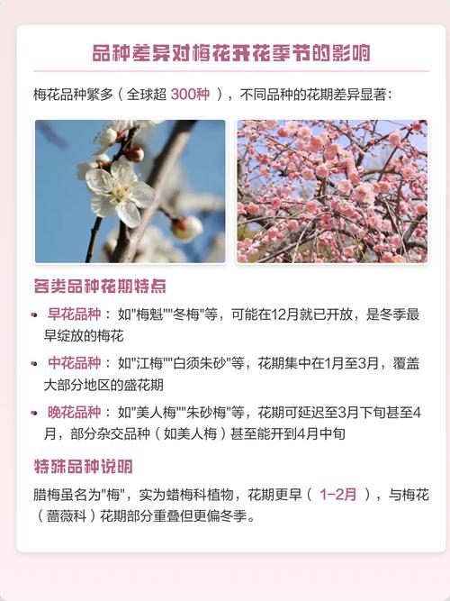 总结