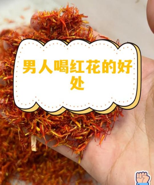 红花男人喝了有什么好处？中草药科普与安全须知