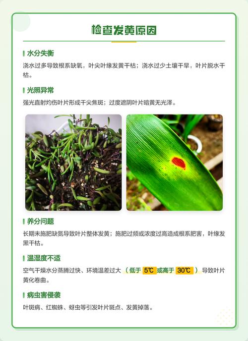四、温度不适：冷害或热伤