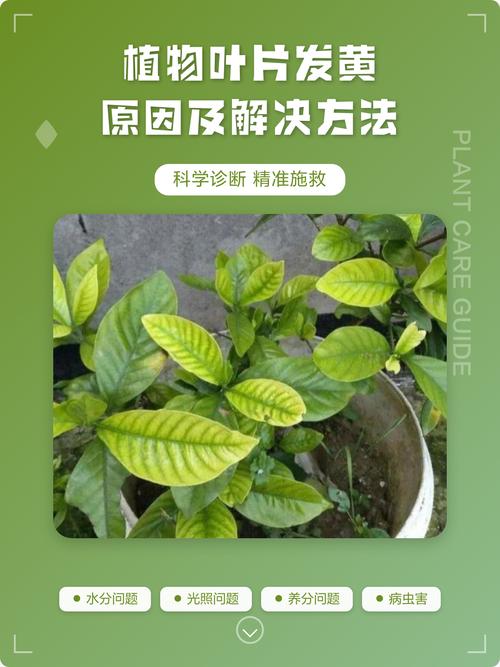 五、土壤与酸碱度问题
