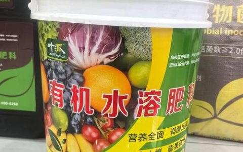 榛子树用什么叶面肥？高效配方与喷施技巧全解析