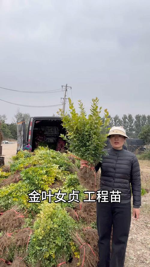 常见操作误区
