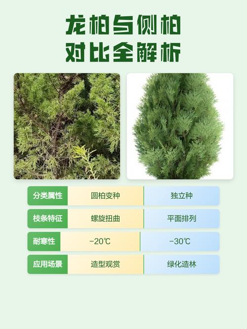三、各维度差异逻辑解释