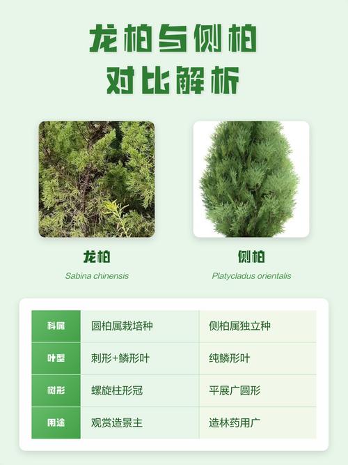 二、6维度对比表格（2026年参考数据）