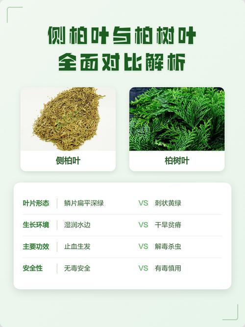 五、最终决策一句话