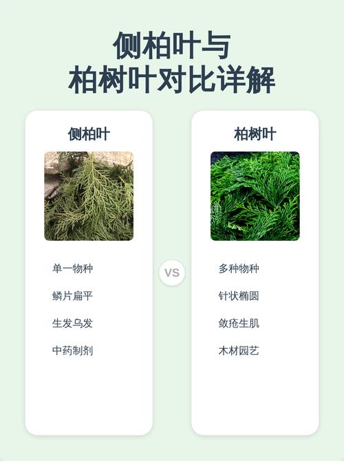 四、场景化选品建议