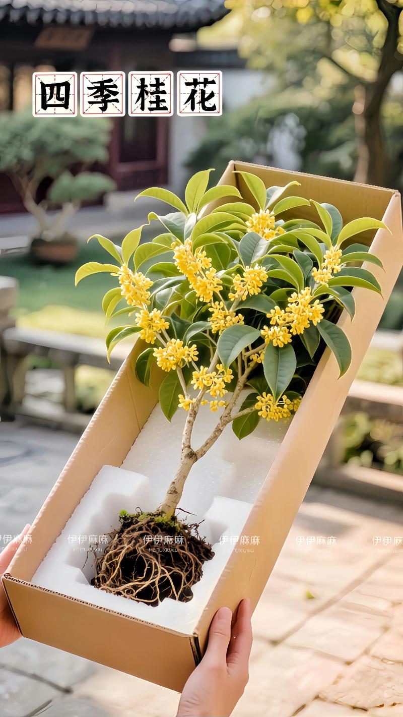 三、南北种植差异化建议（速查表）