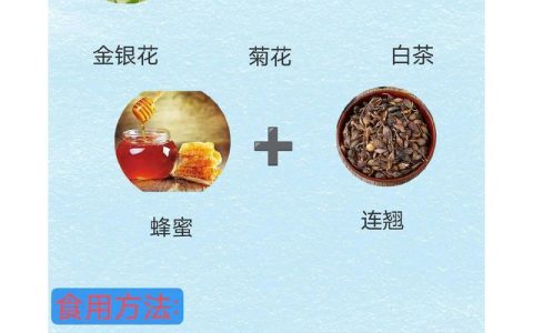 金银花连翘的功效与作用：清热解毒的黄金搭档