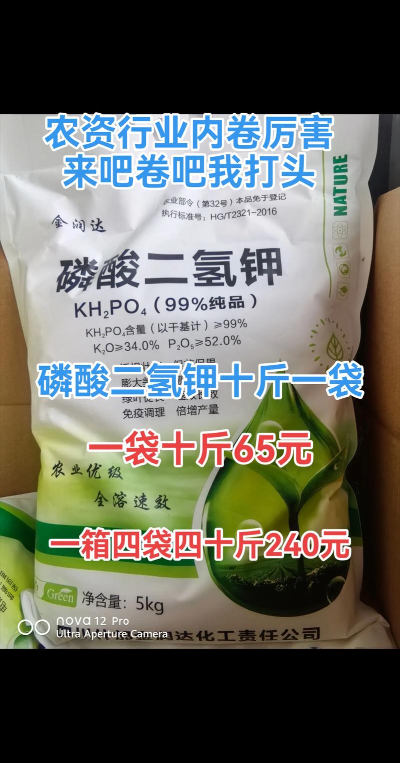 草莓什么时候喷施磷酸二氢钾?掌握最佳时机,果实又大又甜 草莓什么时候喷施磷酸二氢钾?掌握最佳时机,果实又大又甜
