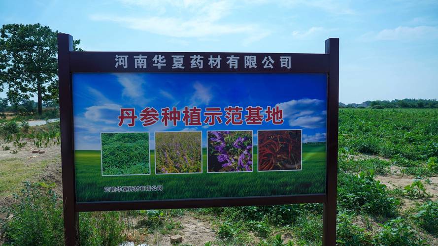 种植药材致富好项目:黄精、白芨与重楼的种植技术指南 种植药材致富好项目:黄精、白芨与重楼的种植技术指南