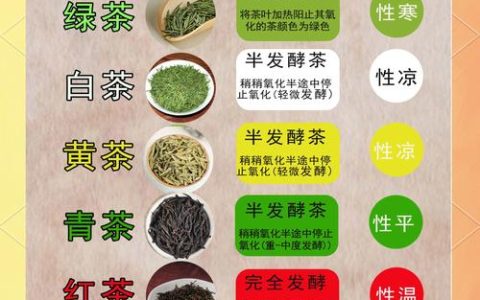 六大茶类核心品种对比：龙井、铁观音与福鼎大白茶的种植与品鉴决策指南