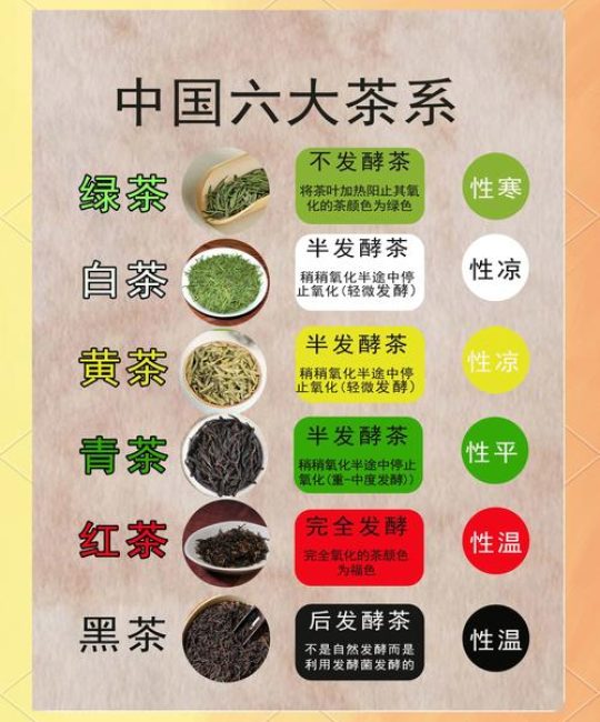 六大茶类核心品种对比：龙井、铁观音与福鼎大白茶的种植与品鉴决策指南