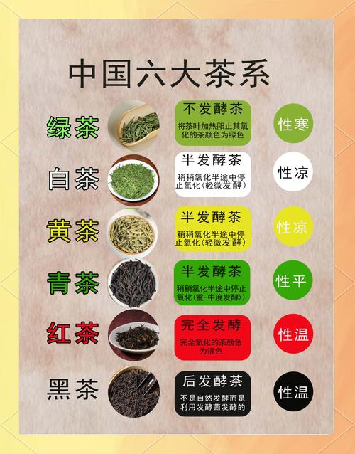 六大茶类核心品种对比:龙井、铁观音与福鼎大白茶的种植与品鉴决策指南 三大品种核心对比表格