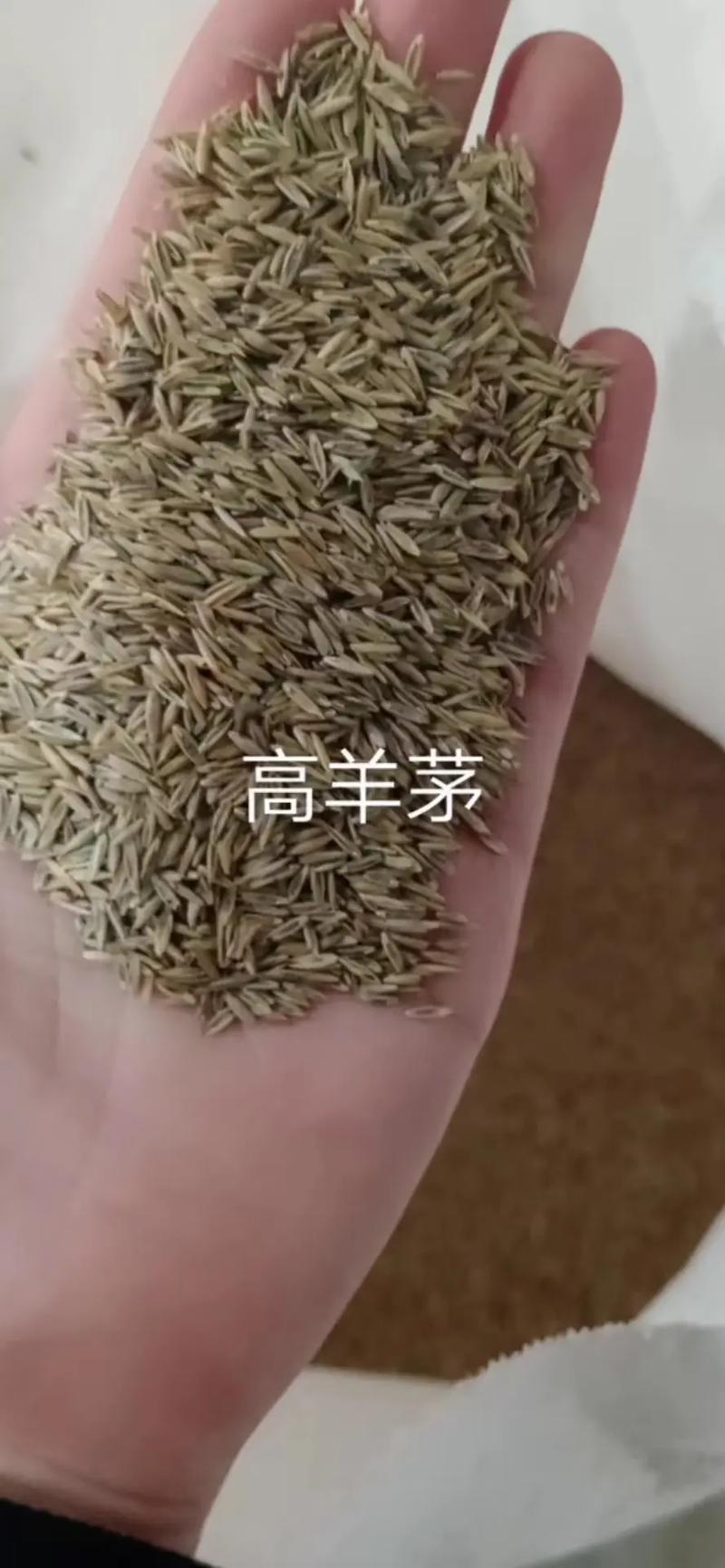 规格（品种与纯度）对价格的影响
