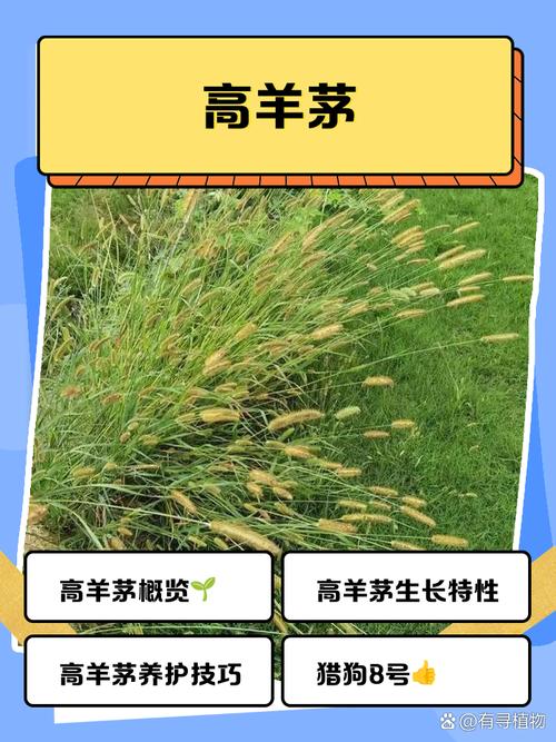 数量（购买批量与包装）对价格的影响
