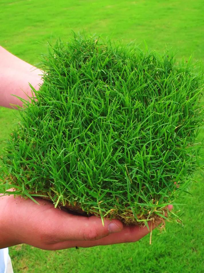 季节（市场供需波动）对价格的影响