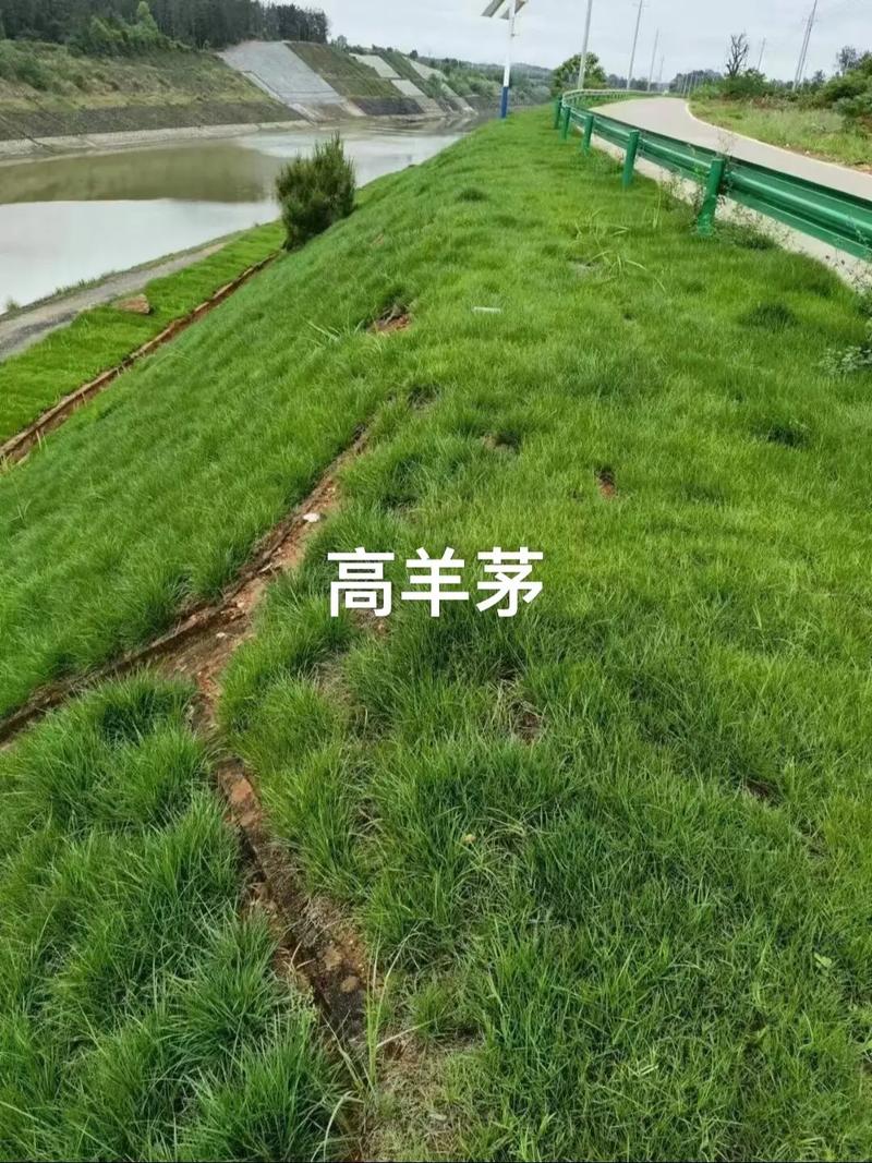 如何获得精准报价？——咨询指南