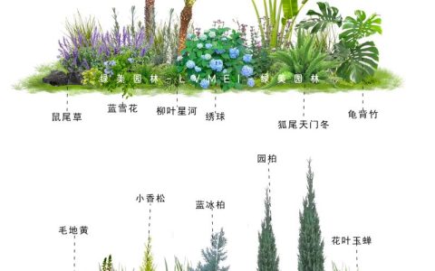 东北室外适合种什么植物？耐寒品种推荐与种植指南