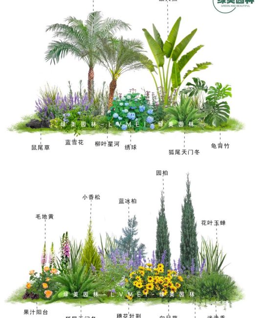 东北室外适合种什么植物？耐寒品种推荐与种植指南