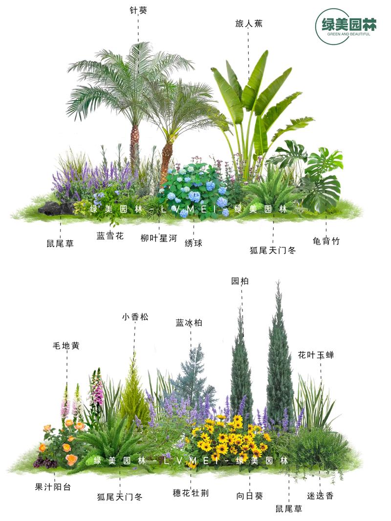 东北室外适合种什么植物?耐寒品种推荐与种植指南 一、推荐乔木:骨架植物选这些
