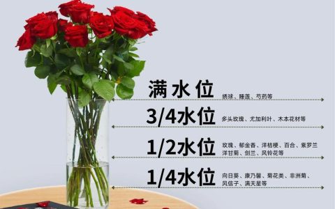 花束怎么养能长久一点？家庭切花养护全指南