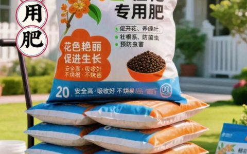 桂花施什么肥料最好？家庭养护全指南