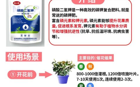 长寿花能用磷酸二氢钾吗？正确使用技巧与注意事项