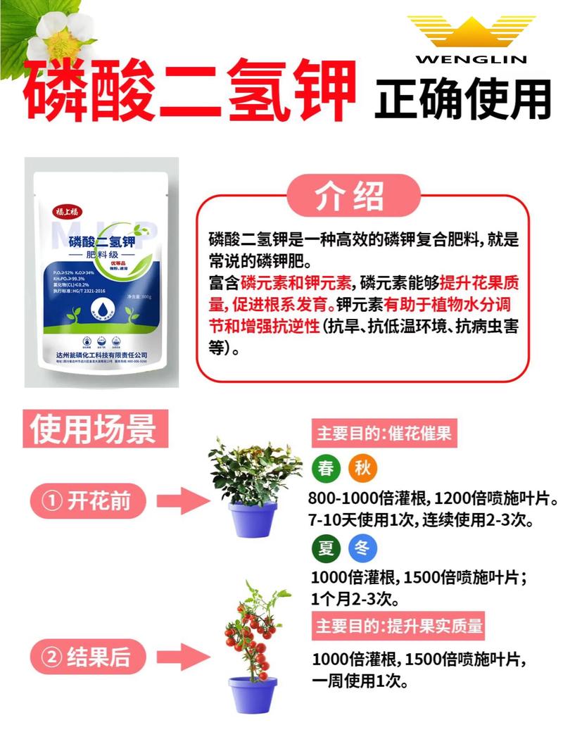 长寿花能用磷酸二氢钾吗?正确使用技巧与注意事项 一、磷酸二氢钾对长寿花的作用