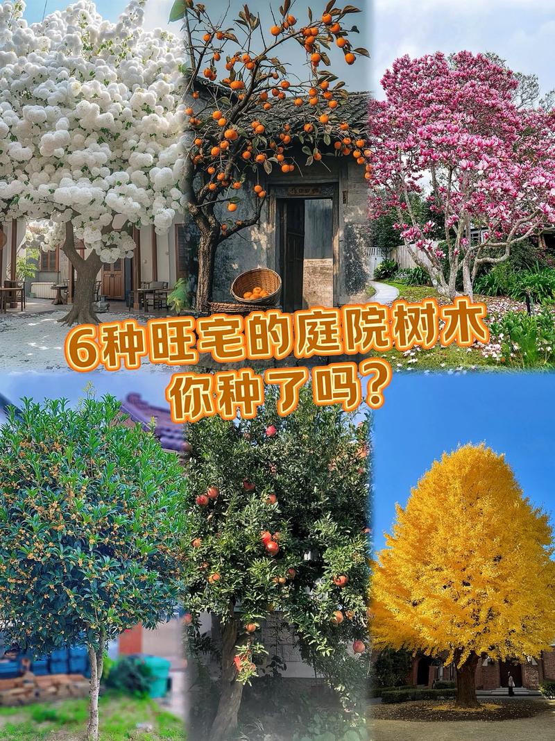 庭院景观树对比:缅甸花梨木与阔叶黄檀木,哪种更适合你的花园? 五、综合推荐与选择指南
